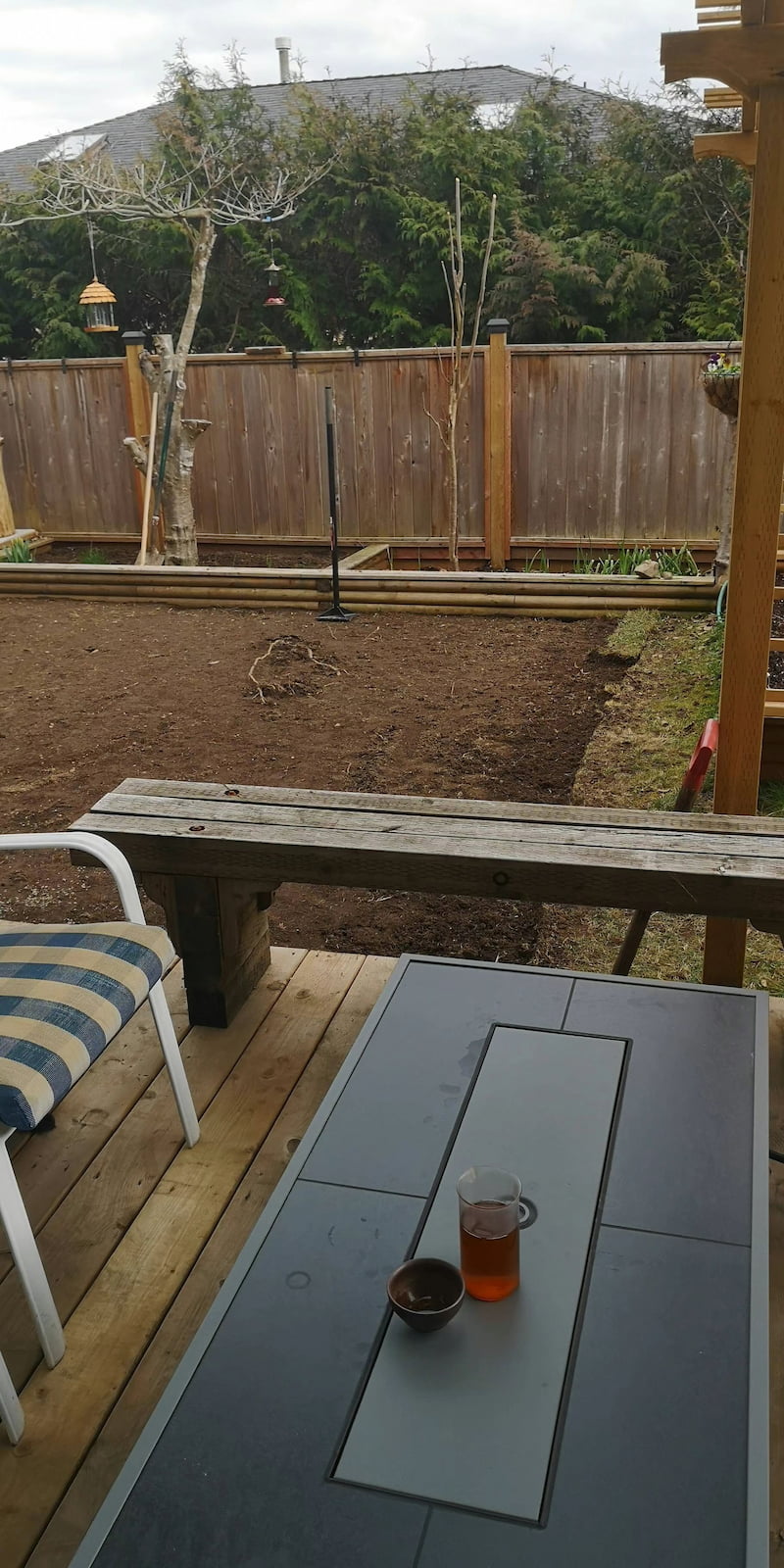 铲除旧草坪后的后院