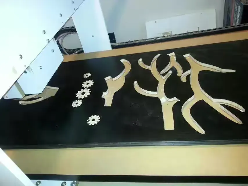 打鸟